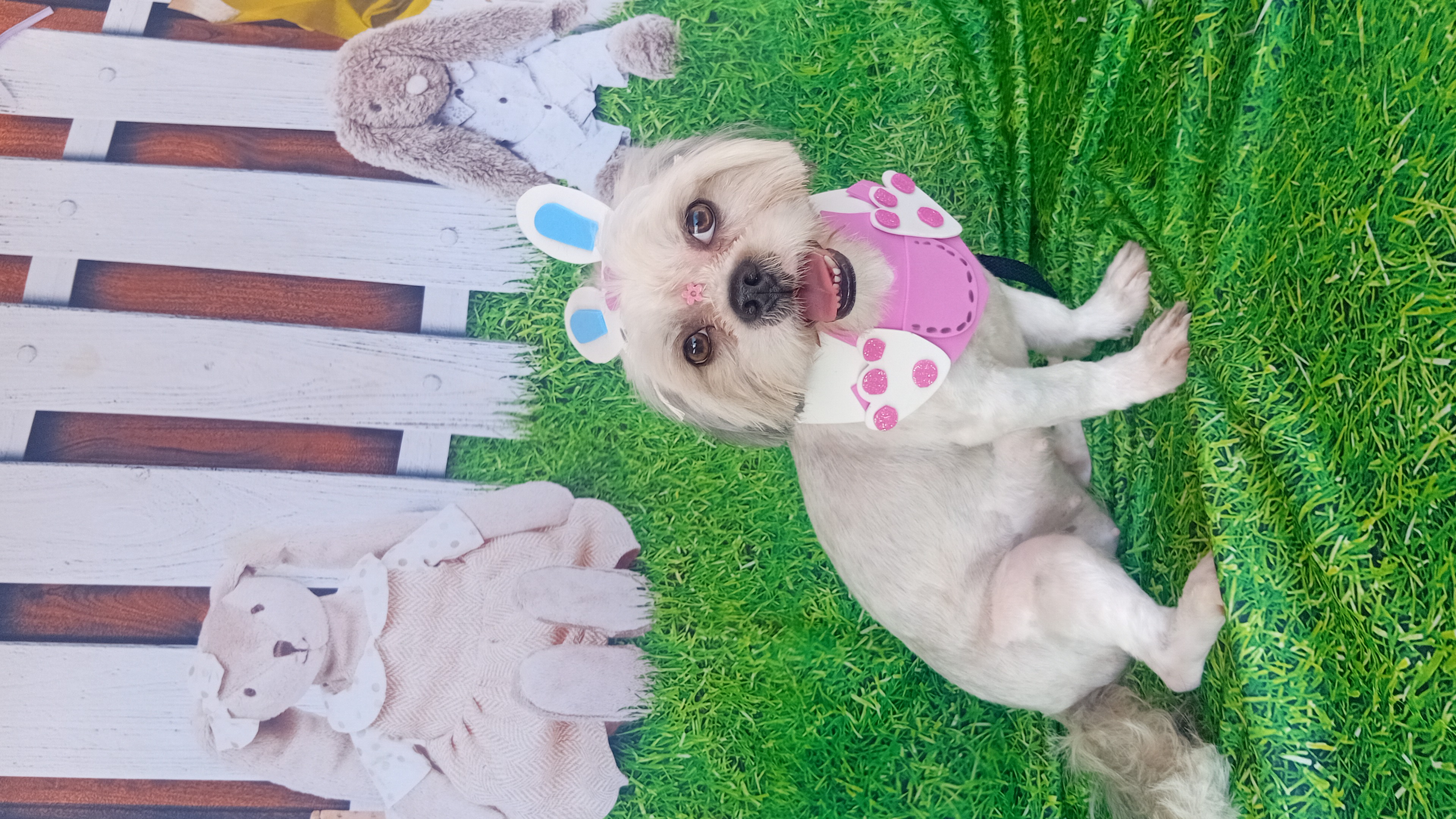 Foto do banho de Zara