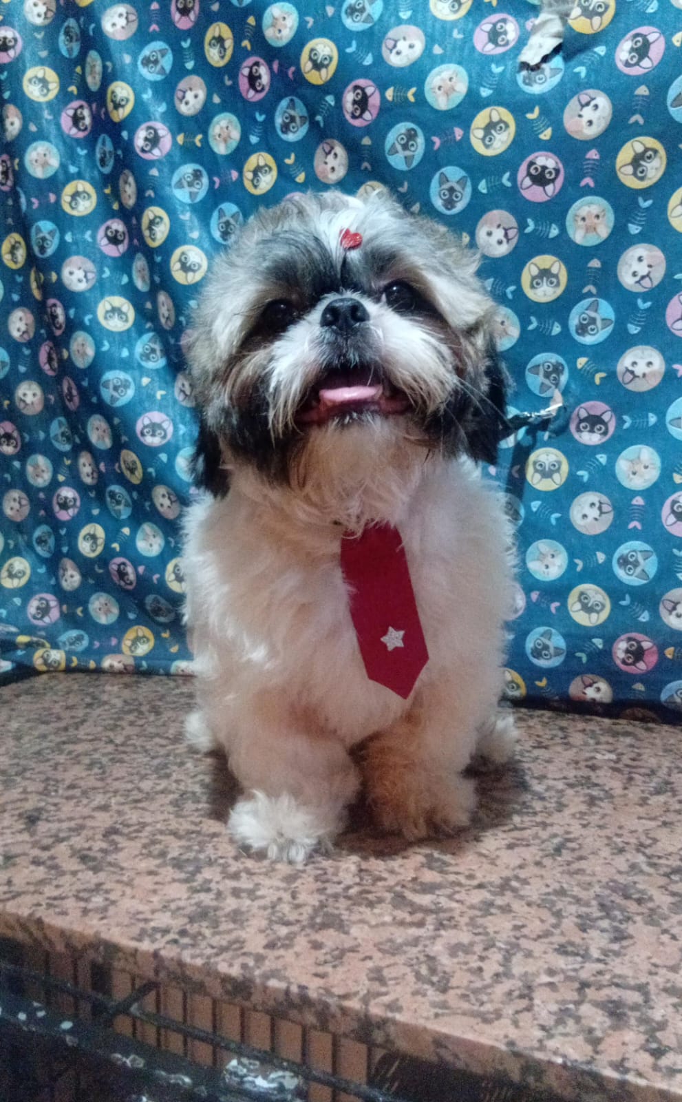 Foto do banho de Thor