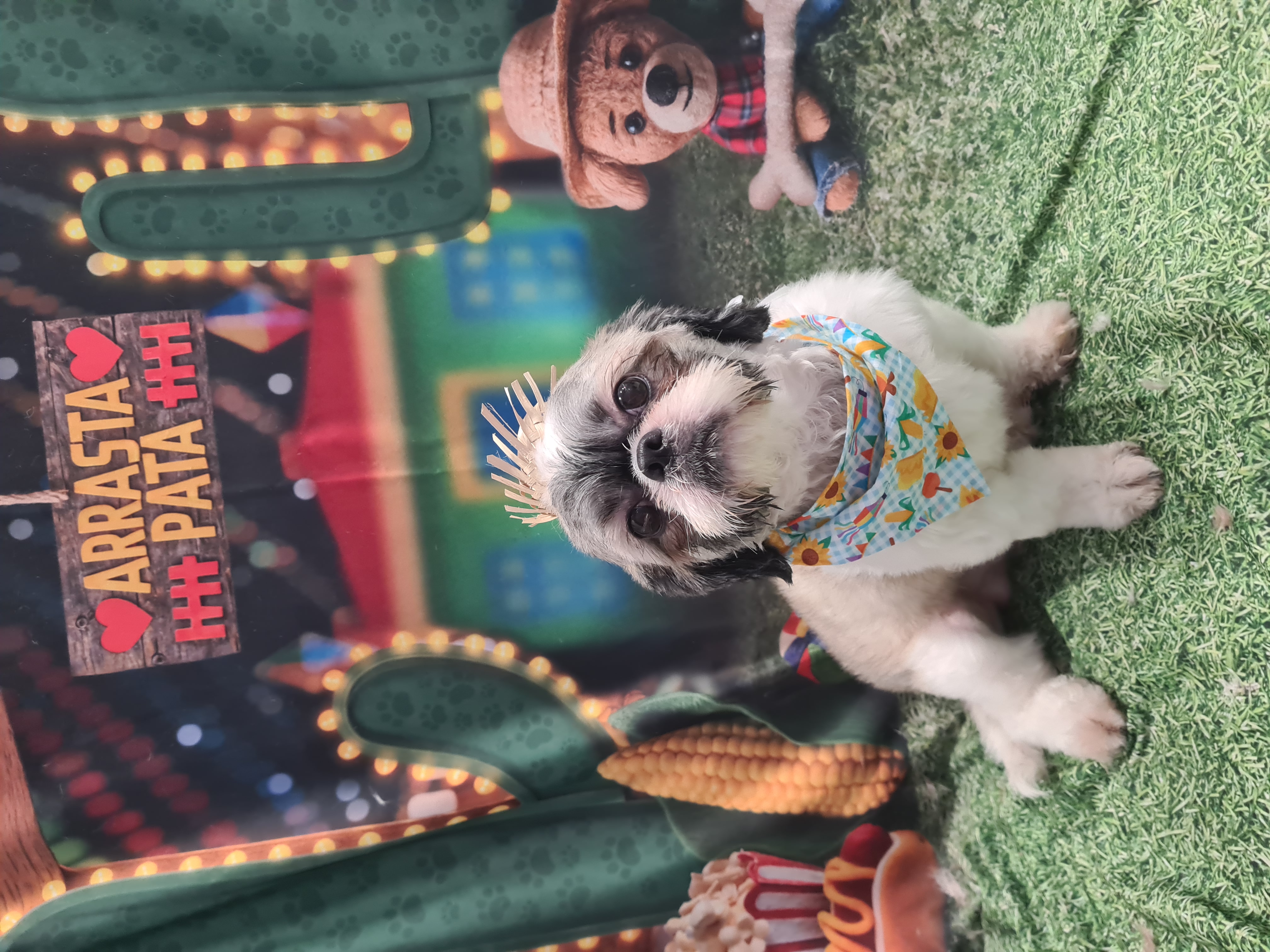 Foto do banho de Thor