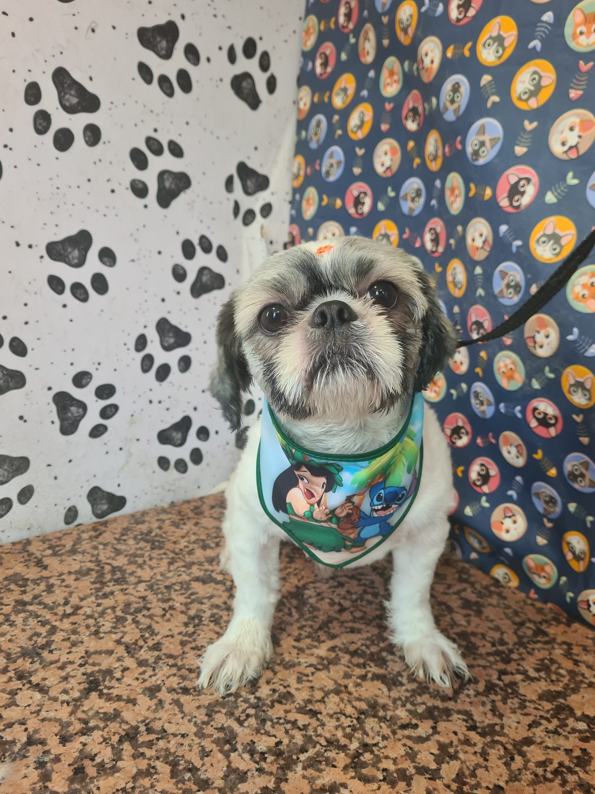 Foto do banho de Thor