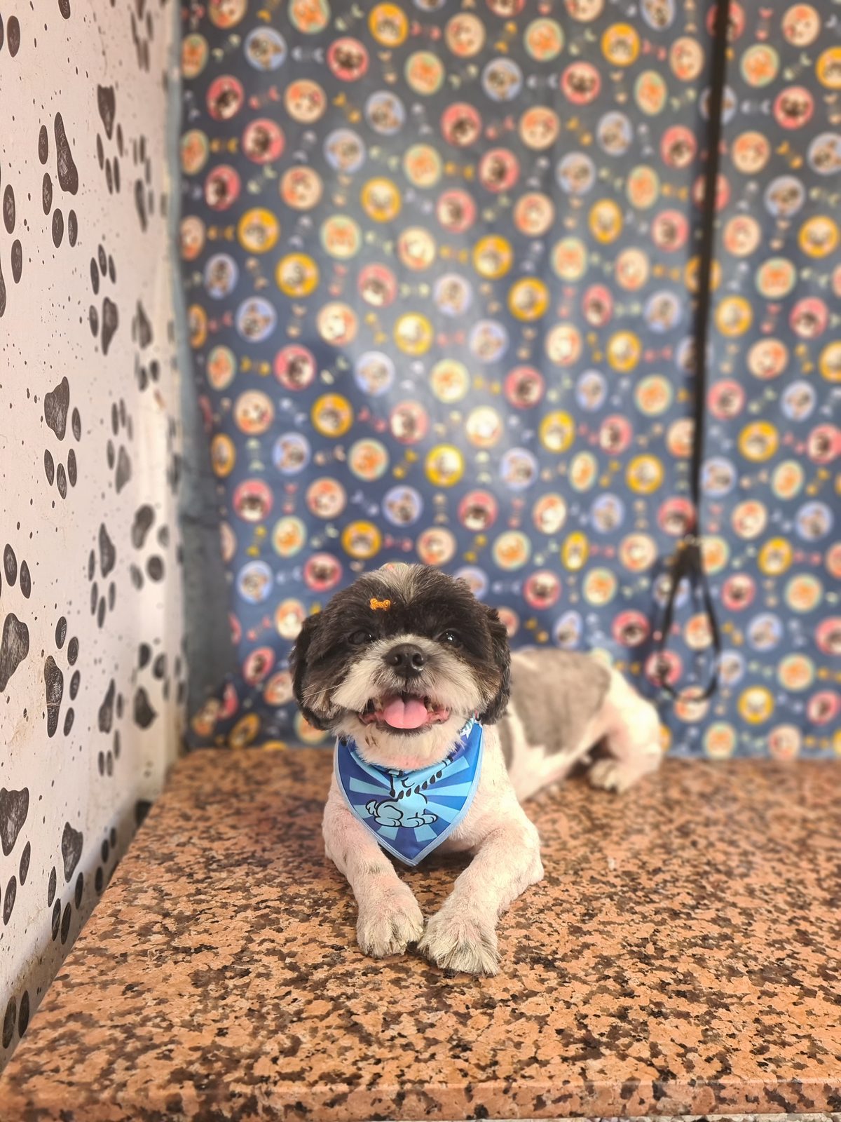 Foto do banho de Rael