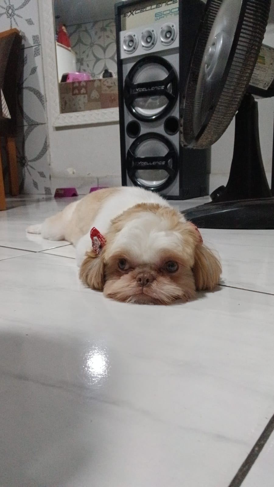 Mel