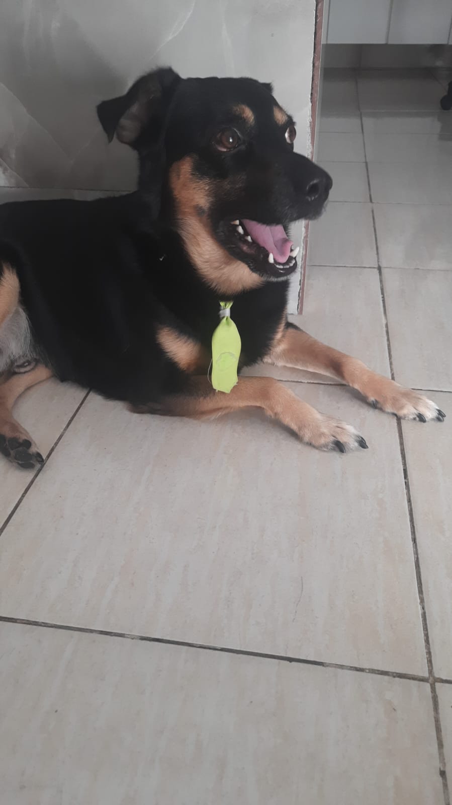 Feinho