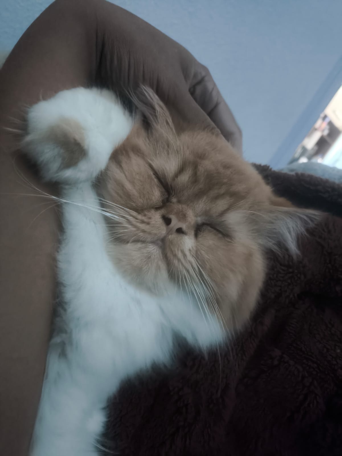 Mingau